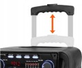 Głośnik z mikrofonem Manta SPK5021PRO 80W Bluetooth Equalizer Radio czarny