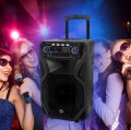 Głośnik z mikrofonem Manta SPK5021PRO 80W Bluetooth Equalizer Radio czarny