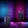 Głośnik Manta Leto SPK1203B100 100W Bluetooth Karaoke