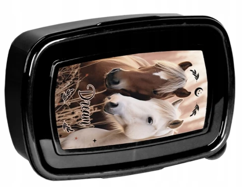 Śniadaniówka pojemnik lunchbox KONIE PP26HR-3022 750ml Koniki